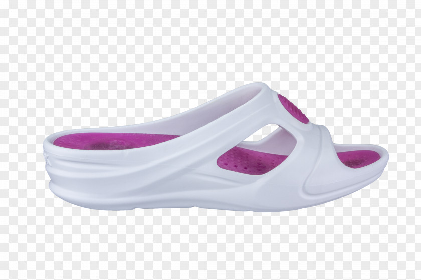 Sandal Shoe PNG