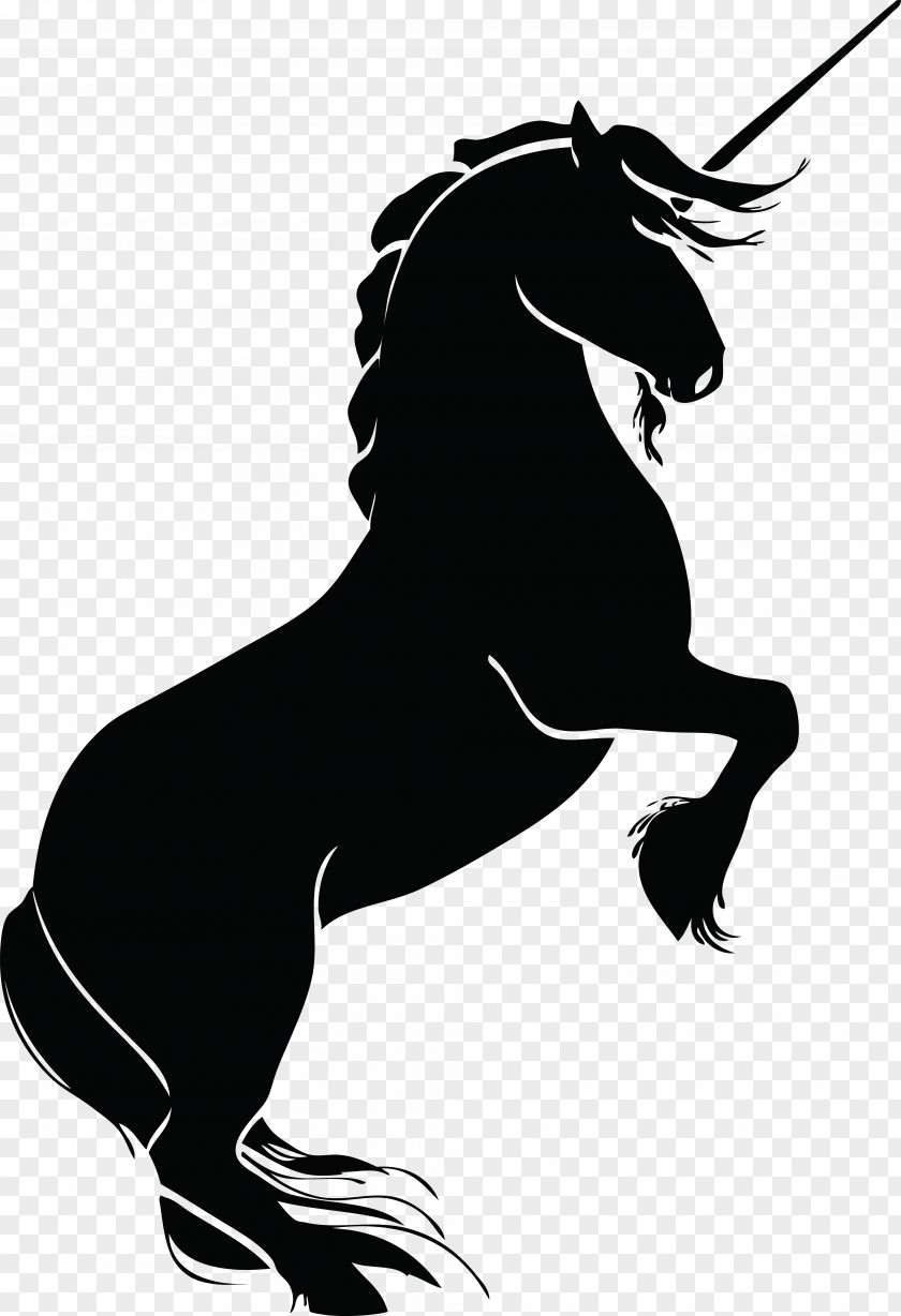 Unicorn Head Horse Silhouette Clip Art PNG