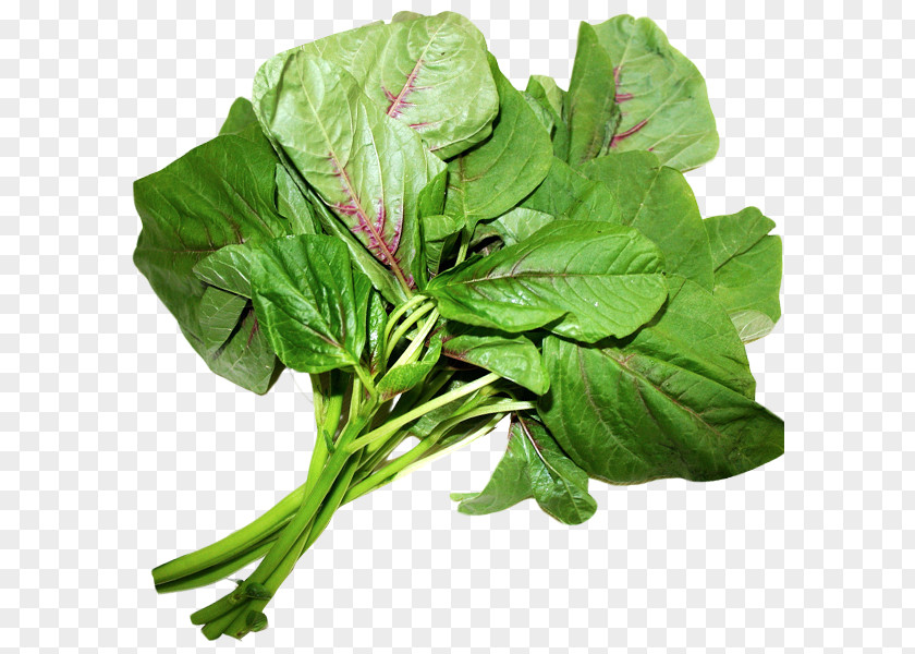 Vegetable Spinach Leaf Chard Komatsuna PNG