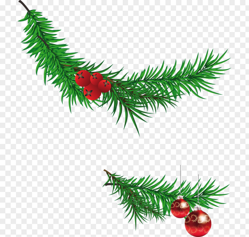 Christmas Banners Santa Claus Tree Branch Clip Art PNG