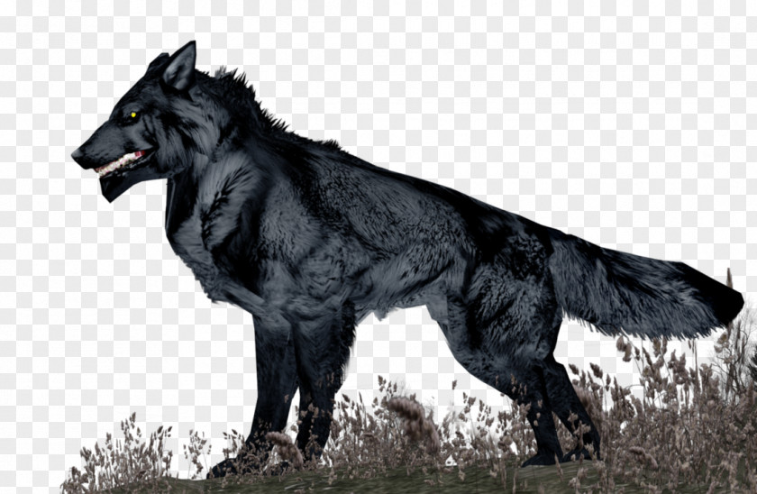 Sale Three Dimensional Characters Gray Wolf Southern Luzon State University 9 August Fur Snout PNG