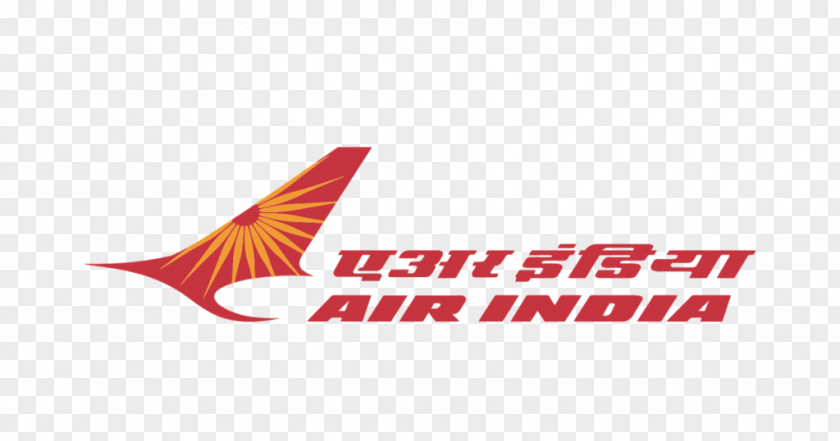 Star Alliance Indira Gandhi International Airport Air India Limited Airline Ticket PNG