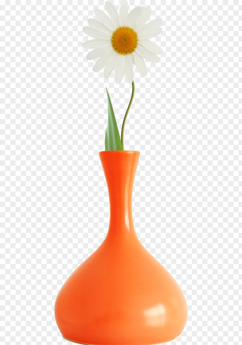 Vase Transvaal Daisy Industrial Design Petal PNG