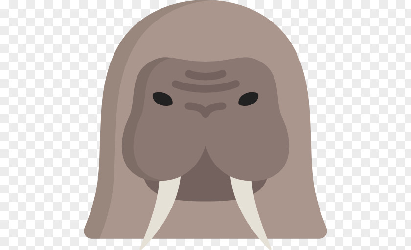 Walrus Face Nose Forehead Snout PNG