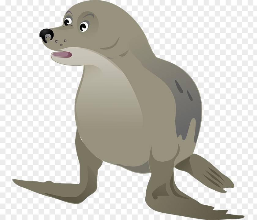 Walrus Sea Lion Das Walross Pinniped Clip Art PNG