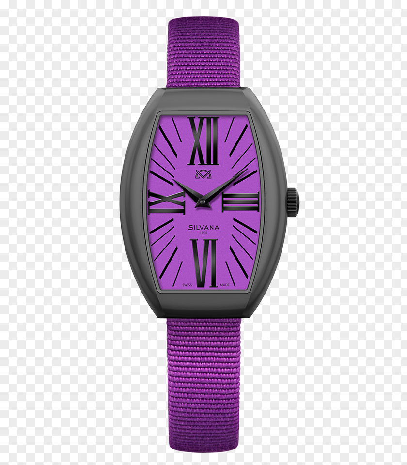 Watch Strap Woman Clothing Accessories PNG