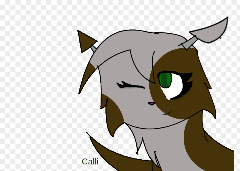 Cat Whiskers Pony Horse Snout PNG