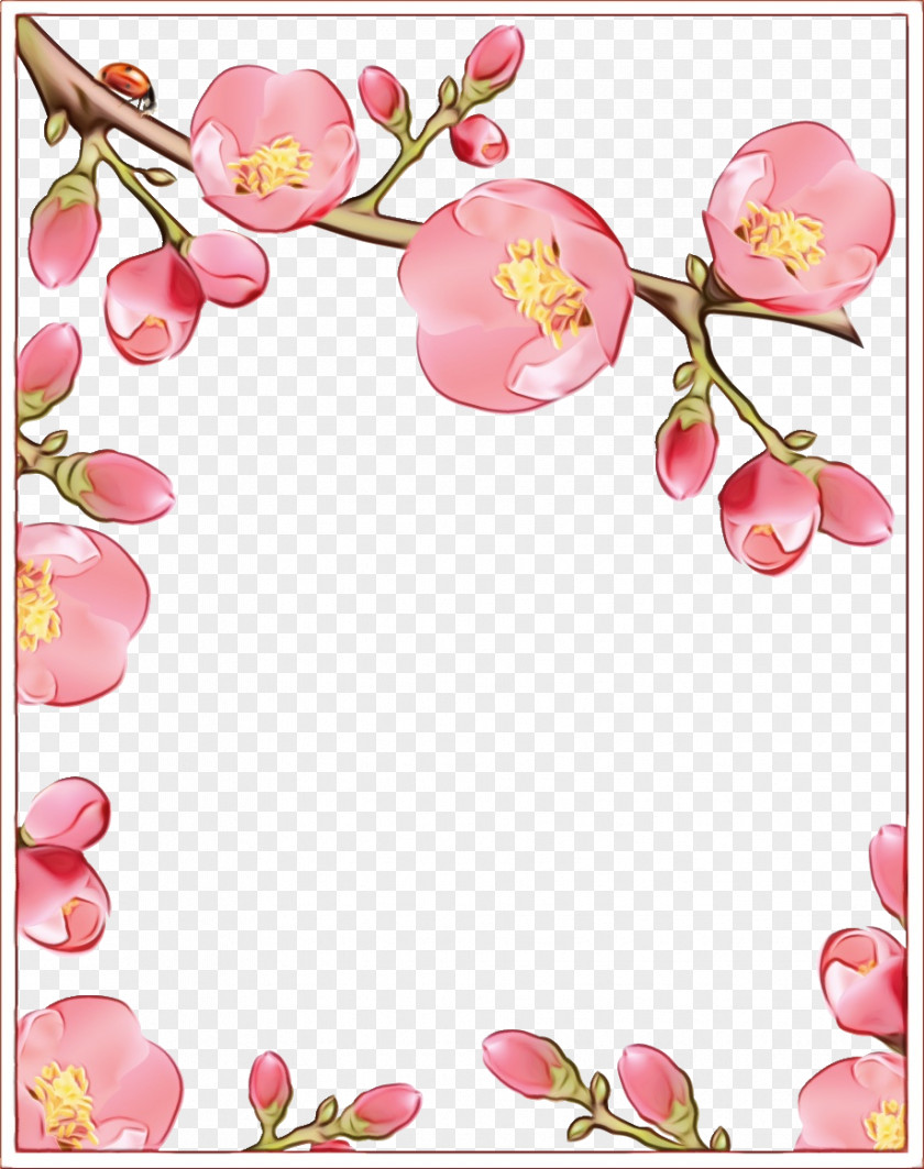 Cherry Blossom PNG