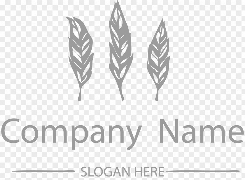 Feather Shape Company LOGO Logo PNG