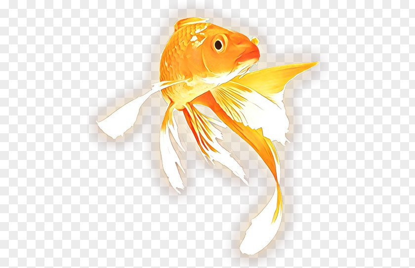 Feeder Fish Bonyfish Cartoon PNG