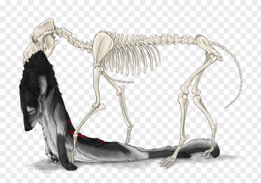 Happy Halloween Joint Skeleton PNG