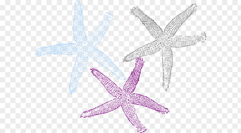 Hawaii Posters Starfish Clip Art Image Drawing Invertebrate PNG