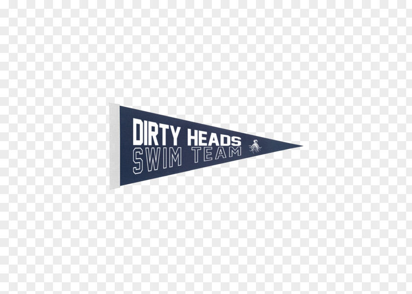 Lifeguard Tower Swim Team Dirty Heads Pennant Logo Phonograph Record PNG