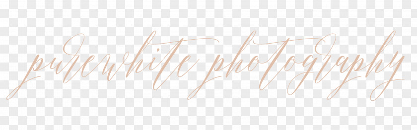 Pure White Calligraphy Brand Line Font PNG