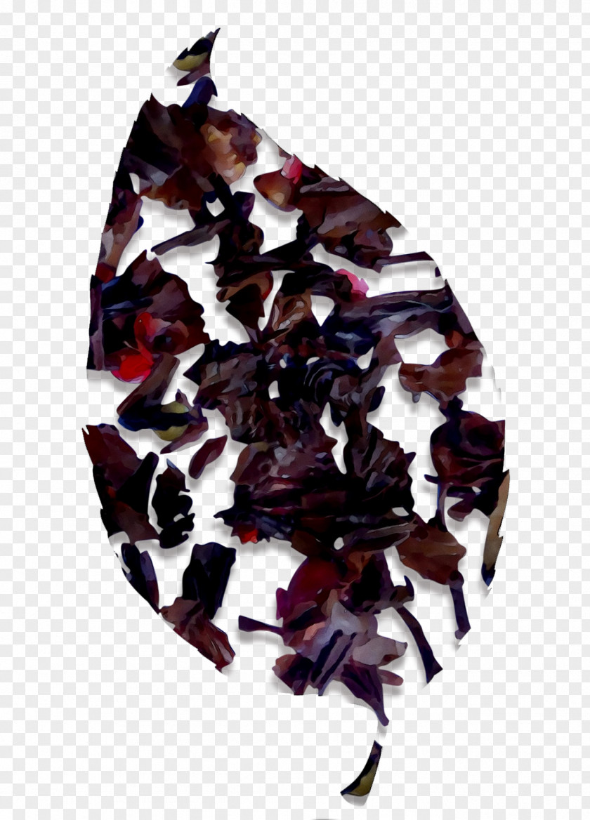 Purple Edible Seaweed PNG