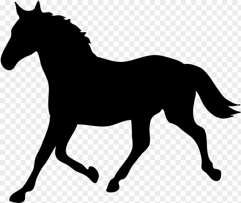Animal Silhouettes Tennessee Walking Horse Silhouette Equestrian & Hound Clip Art PNG