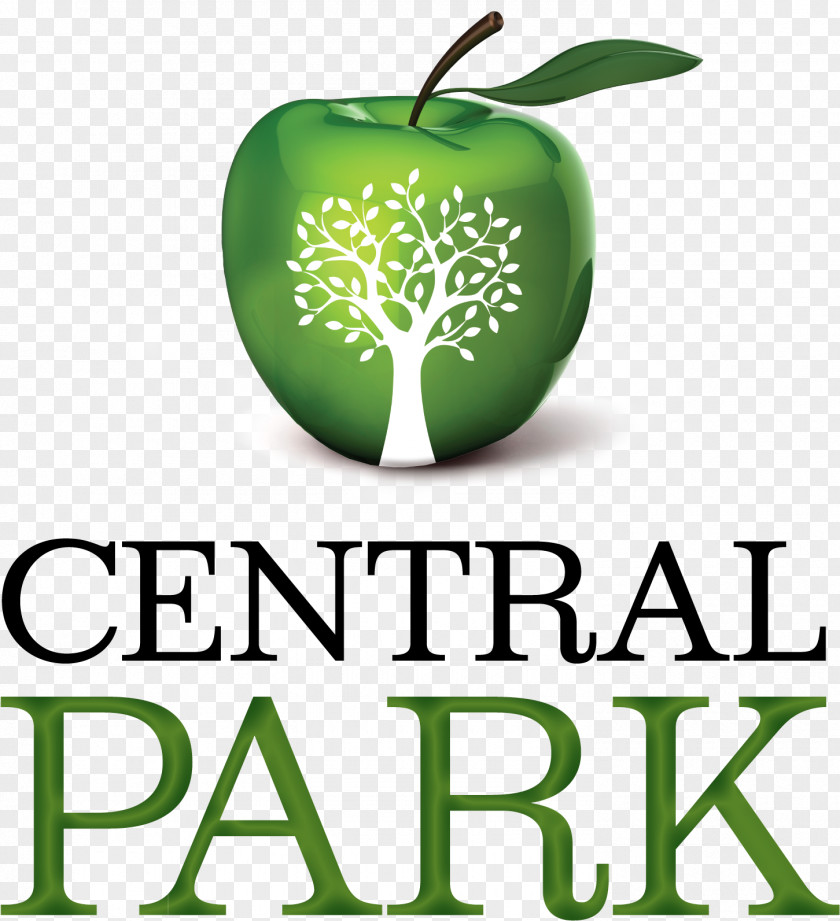Central Park Lawyer Andersen Tax Business PNG