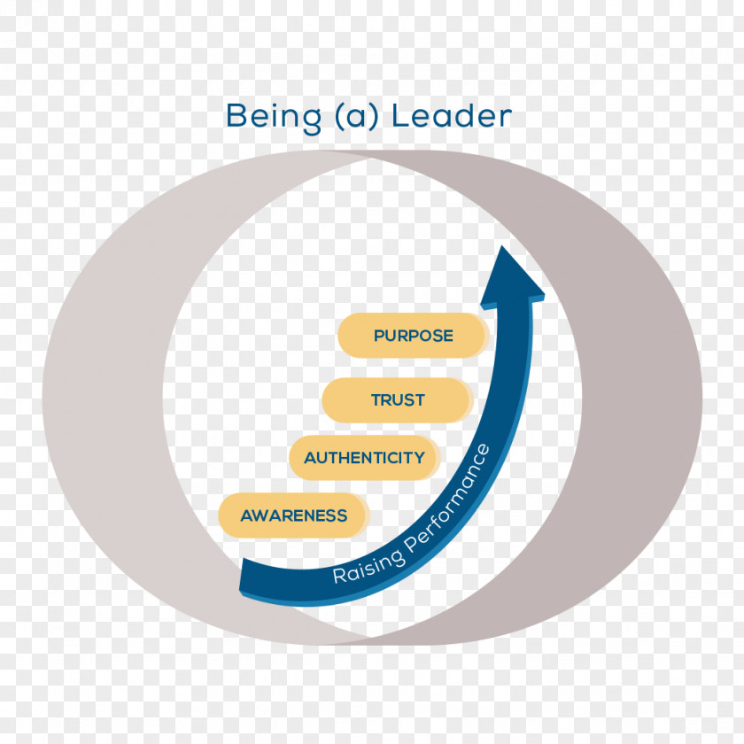Clore Leadership Programme Organization Self-awareness Team PNG