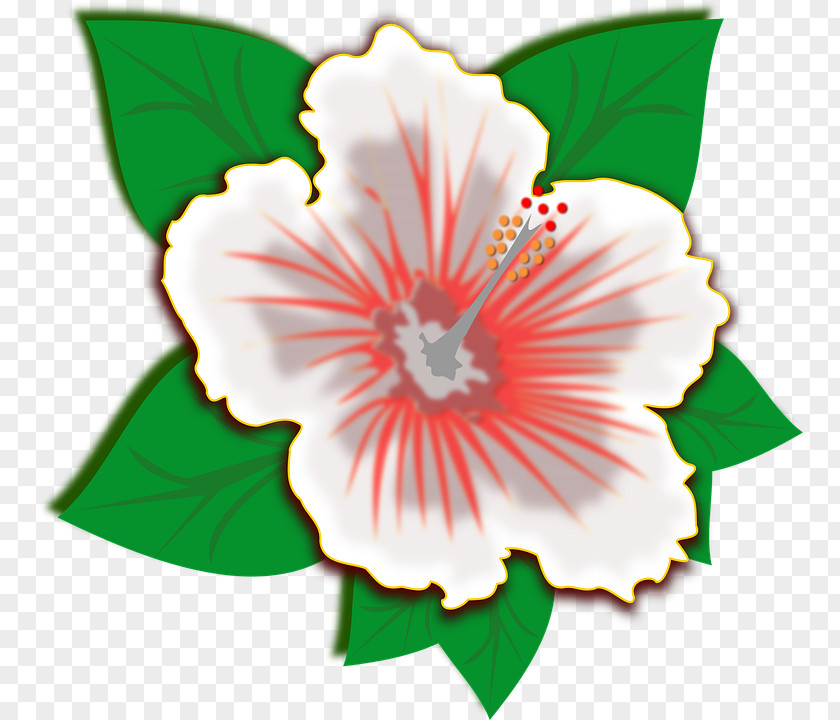 Flower Hibiscus Clip Art PNG