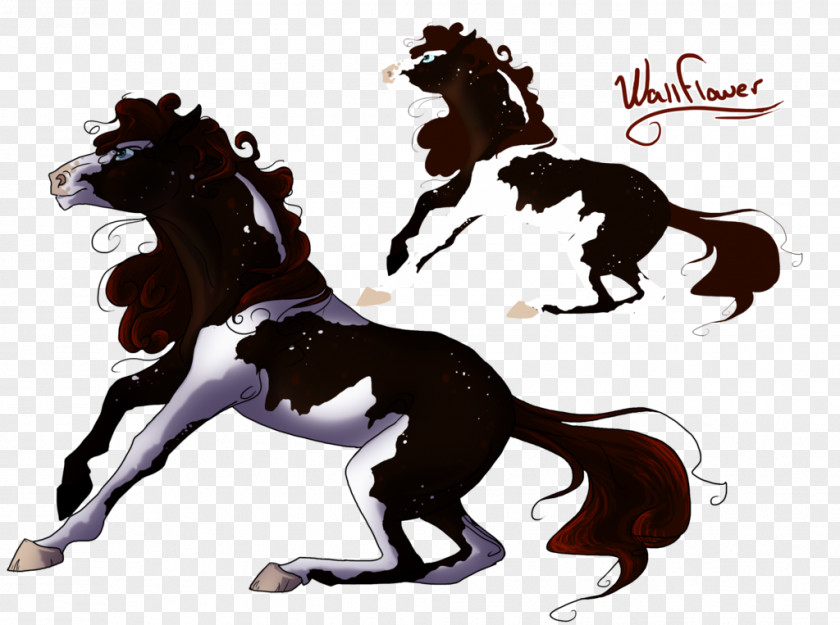 Mustang Stallion Halter Equestrian Pack Animal PNG