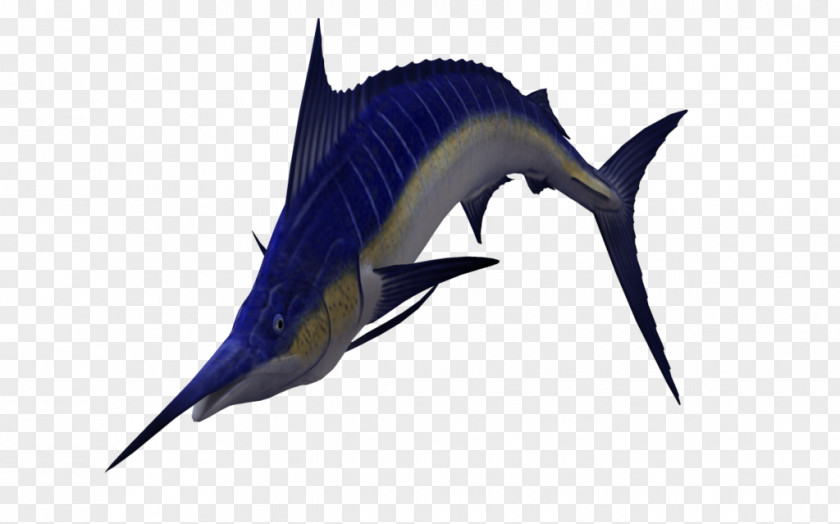 Swordfish Sailfish Atlantic Blue Marlin Clip Art PNG