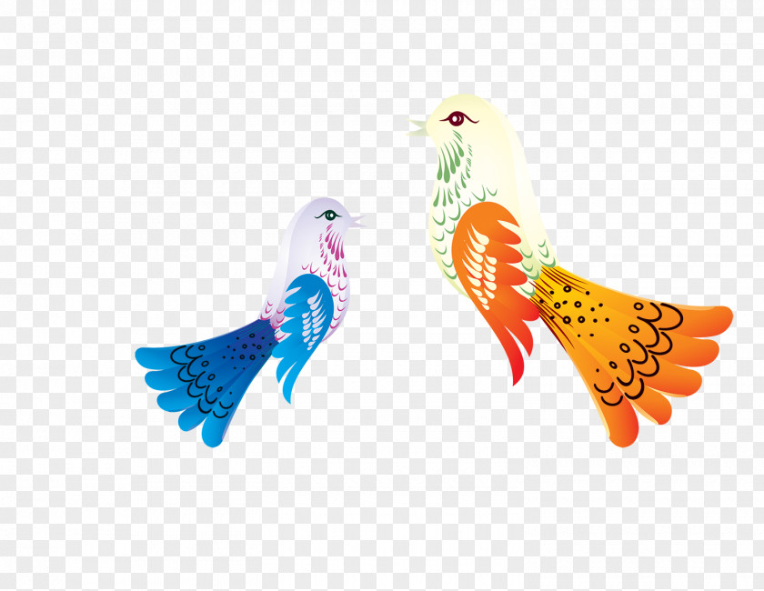 Beautiful Color Peacock Pattern Bird Cartoon PNG