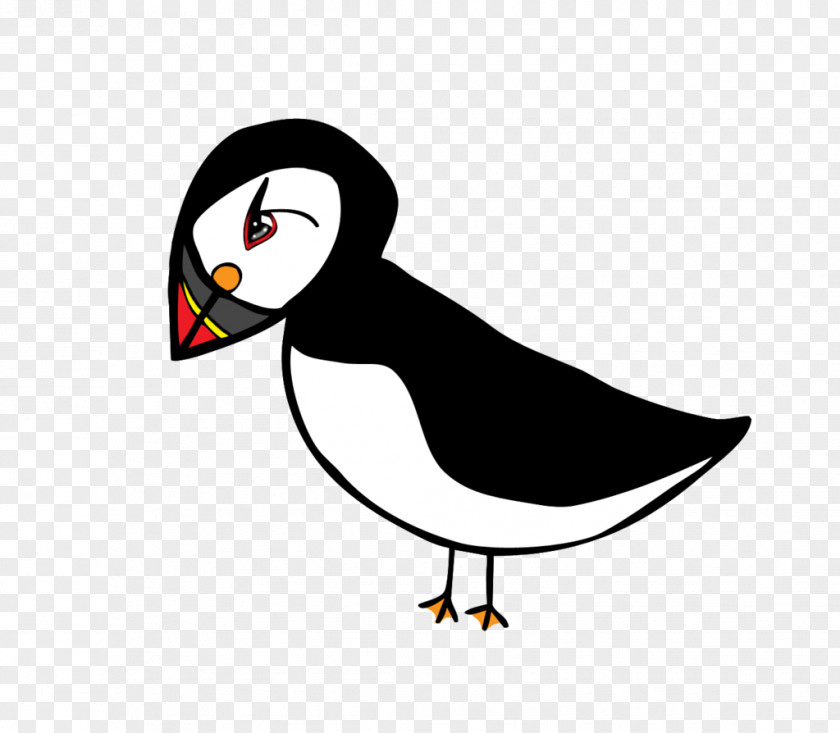 Bird Atlantic Puffin Clip Art PNG