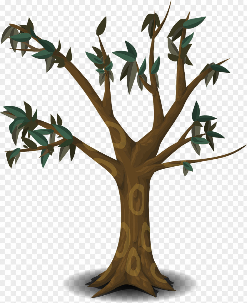 Cartoon Tree Branch Clip Art PNG