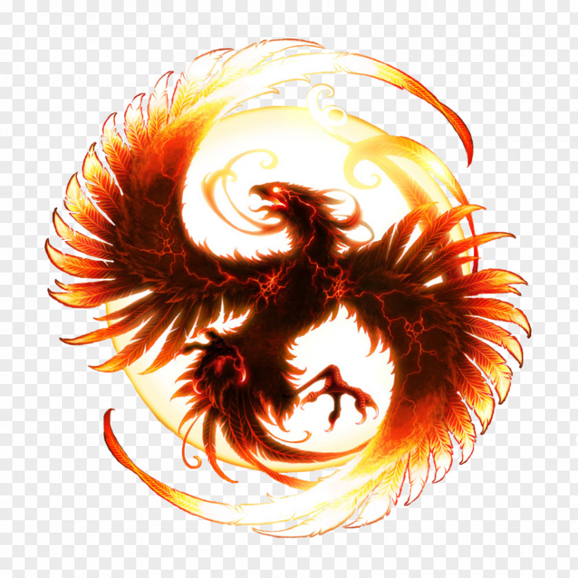 Cool Flame Phoenix Desktop Wallpaper Clip Art PNG