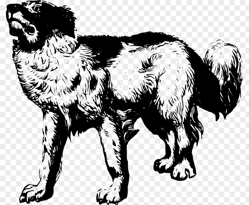 Dog Breed Pet Puppy Clip Art PNG