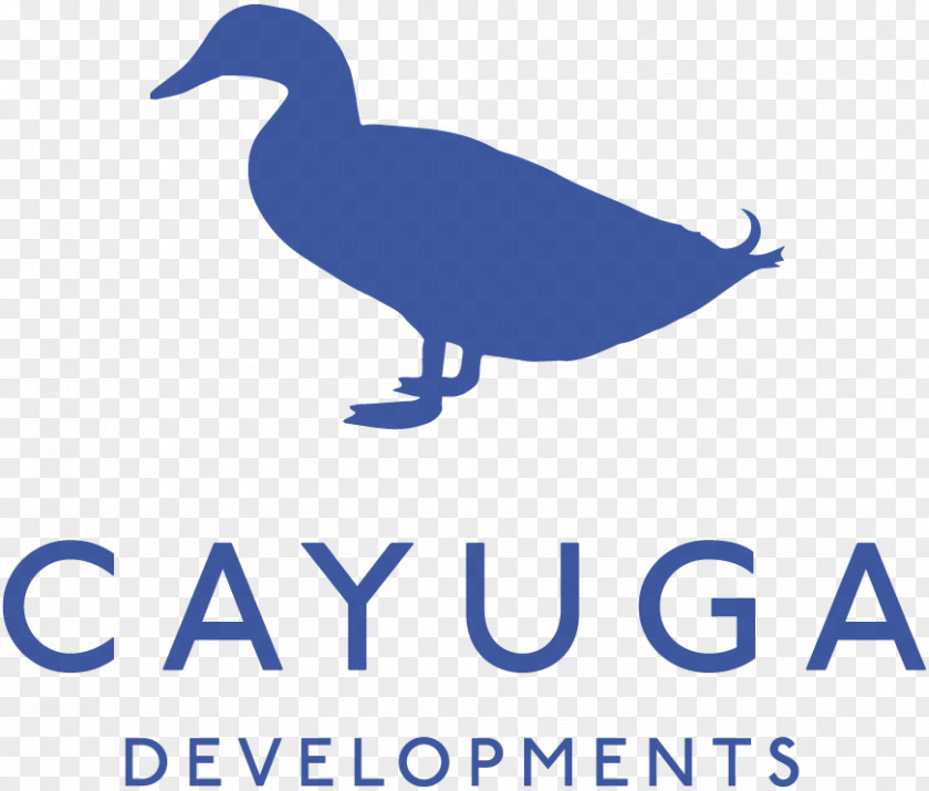 Duck Logo Fauna Beak Brand PNG
