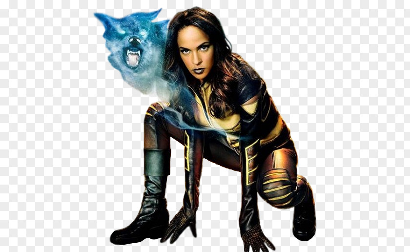 Hawkgirl Megalyn Echikunwoke Vixen The CW DC Comics Arrowverse PNG