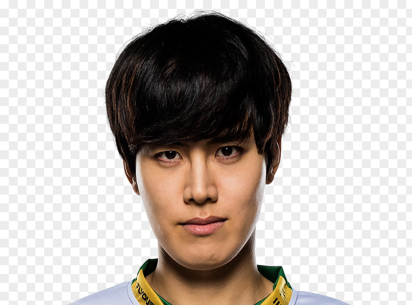 League Of Legends FlyQuest North America Championship Series WildTurtle World PNG