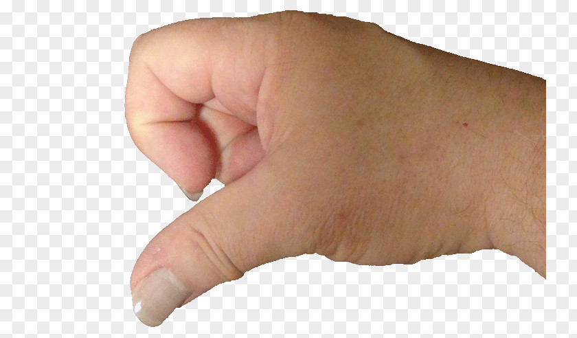 Nail Thumb Index Finger Knuckle Joint PNG
