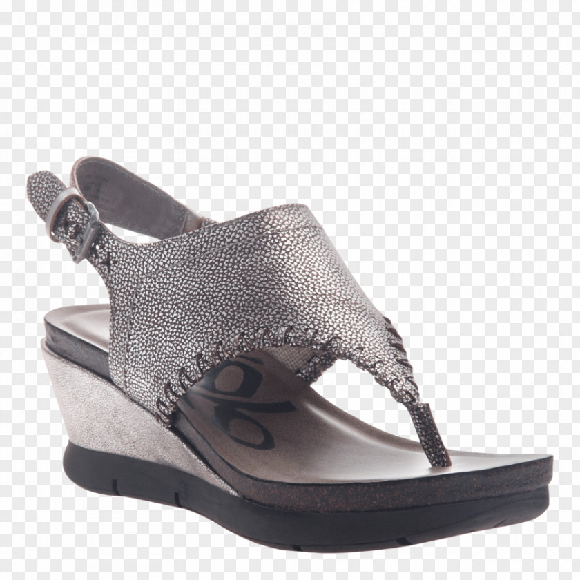Sandal Wedge Shoe Flip-flops Footwear PNG