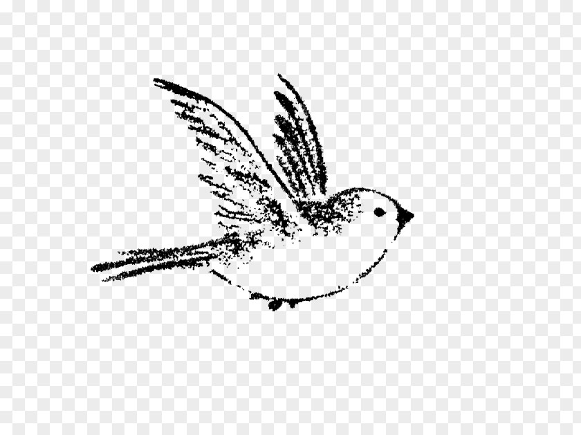 Sparrow House Bird Drawing Tattoo PNG