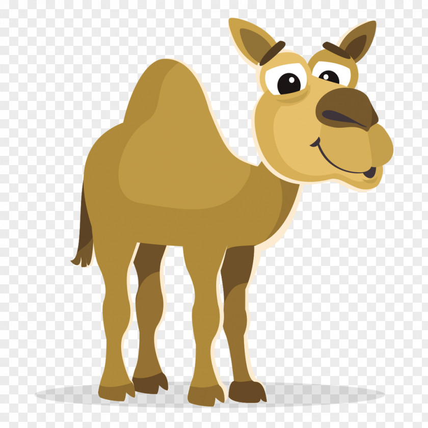 Vector Camel Clip Art PNG
