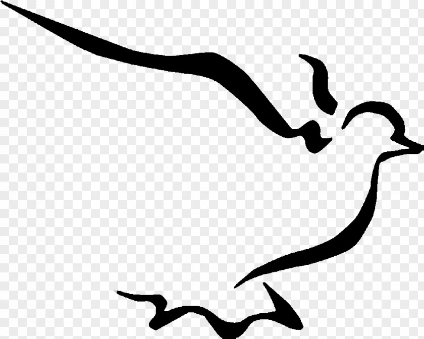 Bird Blackandwhite Line Drawing PNG