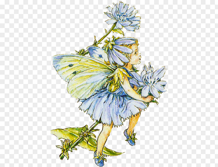 Cicely Mary Barker Le Fate Dei Fiori The Book Of Flower Fairies Wayside Fairy With Turquoise Hair PNG