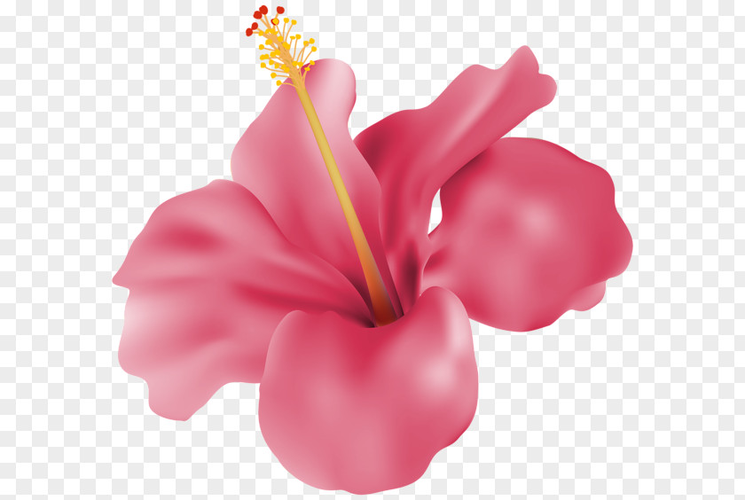 Clip Art Flowers Gallery Yopriceville Cut Rose Petal Flower Bouquet PNG