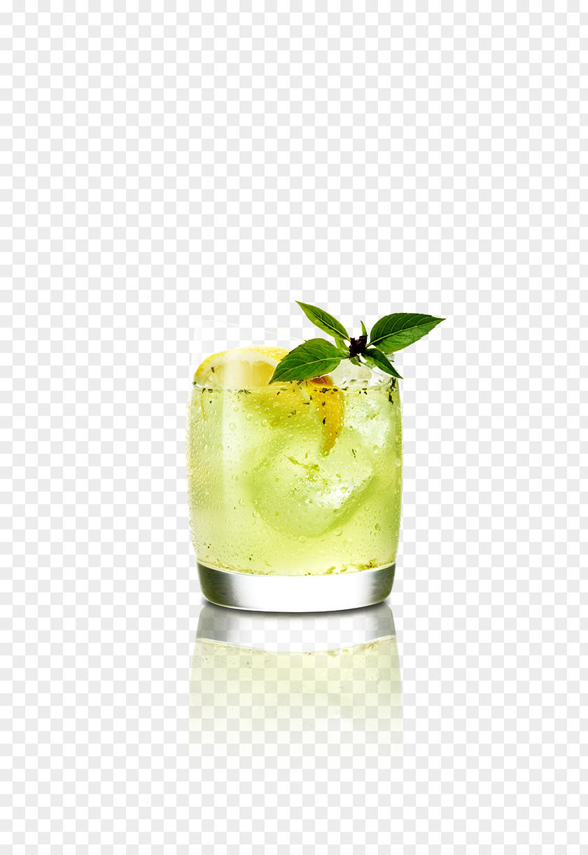 Lemon Leaf Thai Cocktail Garnish Caipirinha Mai Tai Rickey Lime PNG