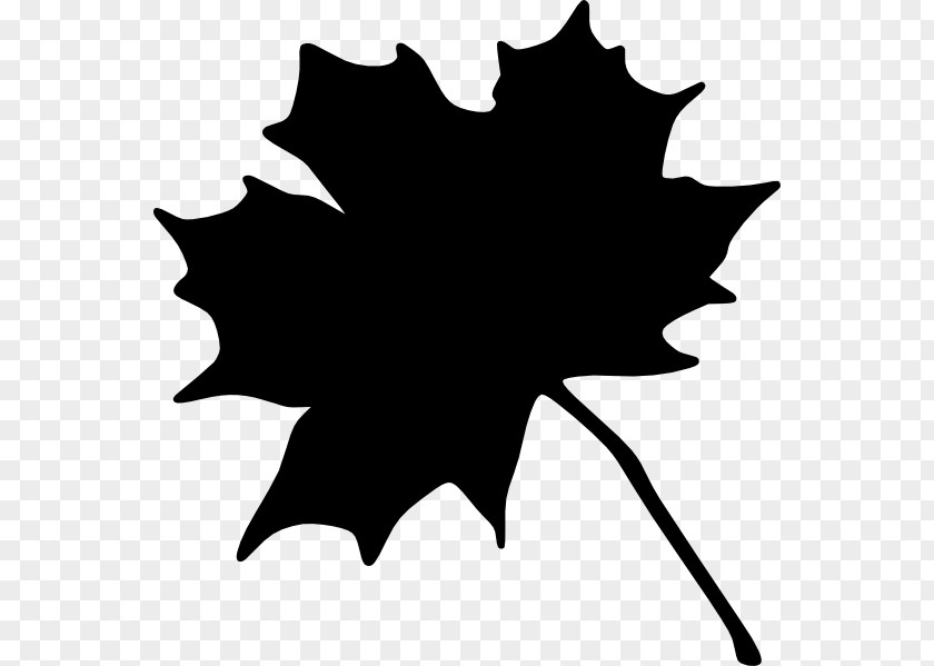 Clip Art Maple Leaf Openclipart Image Vector Graphics PNG
