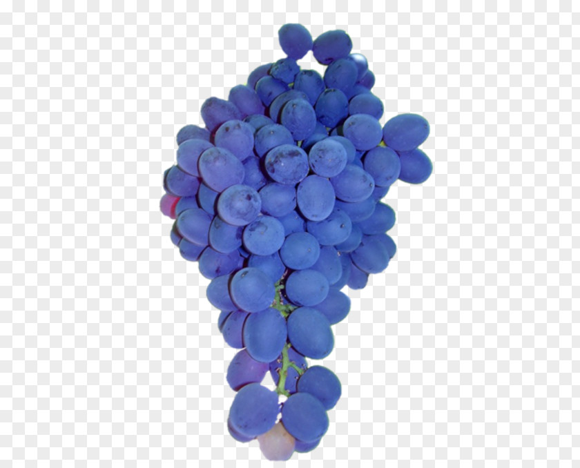 Grape Common Vine Sultana Isabella Seed Extract PNG