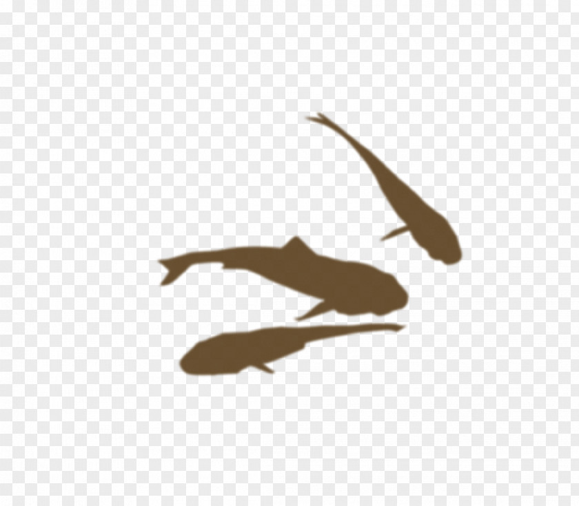 Ink Fish Silhouette PNG