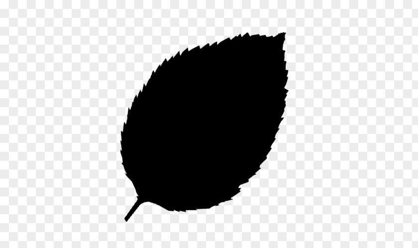 Leaf Font Tree Black M PNG