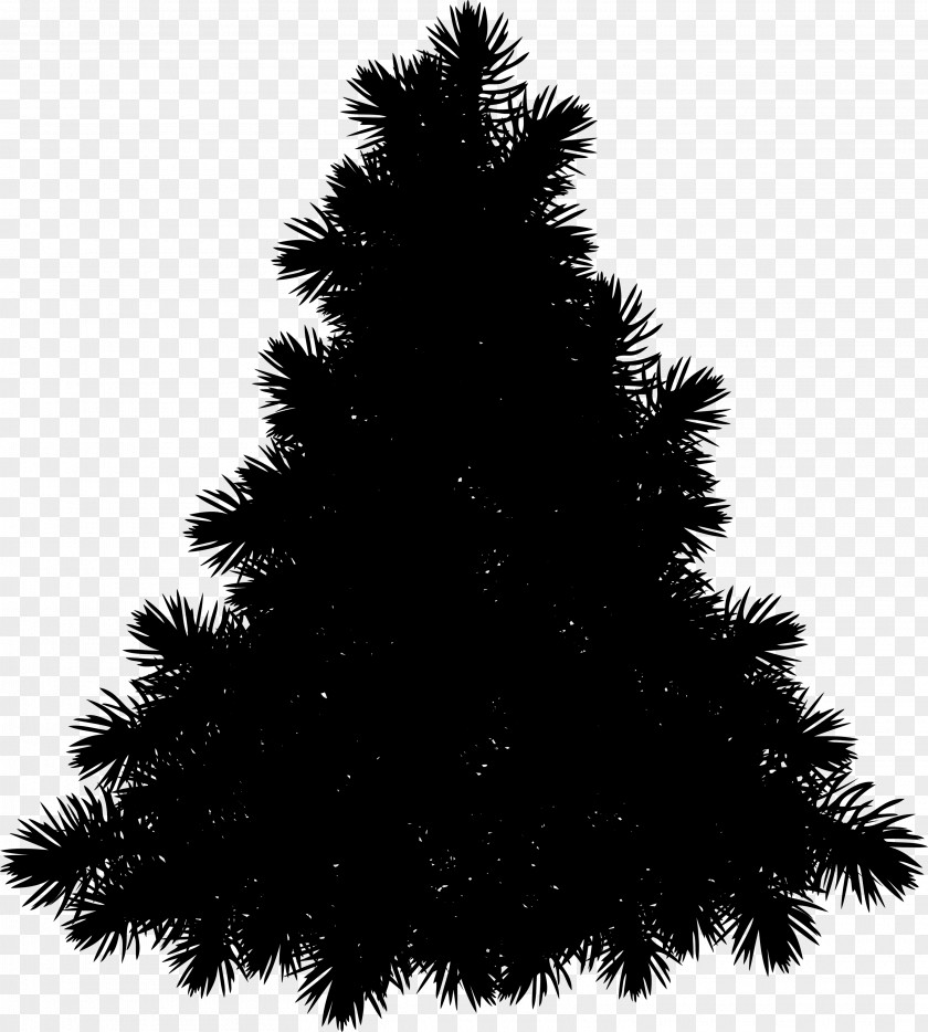 Spruce Christmas Ornament New Year Tree Graphics PNG