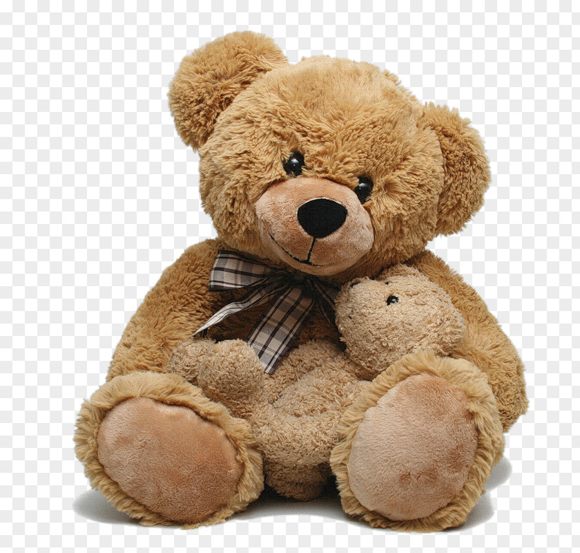 Teddy Bear PNG bear clipart PNG