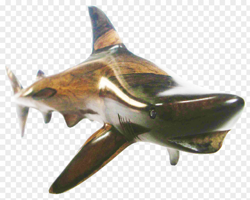 Blacktip Shark Ground Sharks Belize Crafts Guatemala PNG