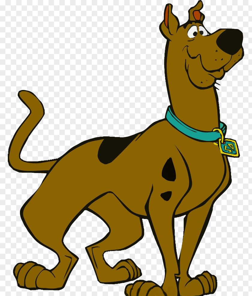 Hand-painted Guide Dogs Scooby Doo Scrappy-Doo Shaggy Rogers Scooby-Doo Clip Art PNG