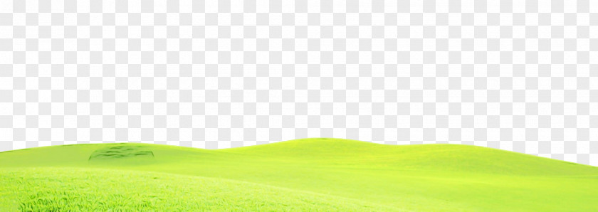 Plain Plant Green Grass Background PNG